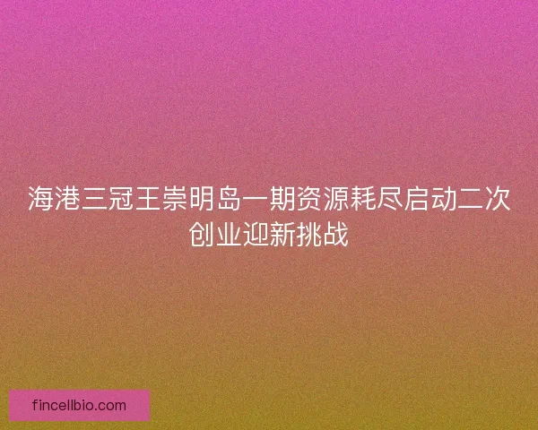 海港三冠王崇明岛一期资源耗尽启动二次创业迎新挑战